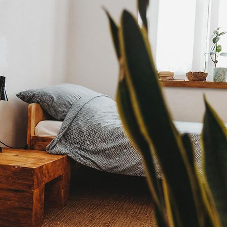 Apartmán Kieszonka Dla Singla Krakov Exteriér fotografie