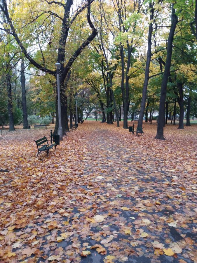 Apartmán Kieszonka Dla Singla Krakov Exteriér fotografie